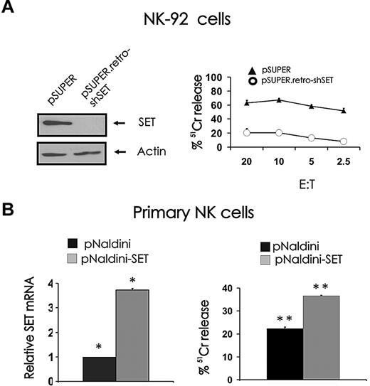 Figure 1. Effect of SET knockdown or overexpression on NK cell–mediated cytotoxicity. (A) NK-92 cells retrovirally infected using the pSUPER or pSUPER.retro-shSET vector were starved from IL-2 for 48 hours, analyzed for SET protein expression by Western blot (left), and used as effector cells for NK-cell cytotoxicity assays19 (right). Technical limitations precluded infection of primary human NK cells using the pSUPER or pSUPER.retro-shSET vector. (B) Primary human CD56+ NK cells were infected using pNaldini-GFP and pNaldini vector encoding both GFP and SET cDNAs, and next FACS sorted for GFP. Sorted primary human CD56+GFP+ NK cells were analyzed for SET transcript by real-time RT-PCR (left; n = 4, *P < .01) and used as effectors for NK-cell cytotoxicity assay (right; n = 3, **P < .03). Spontaneous cytotoxicity against K562 cells was tested in a 4-hour 51Cr release assay. This experiment is representative of 3 performed with similar results. Errors bars represent plus or minus SE.