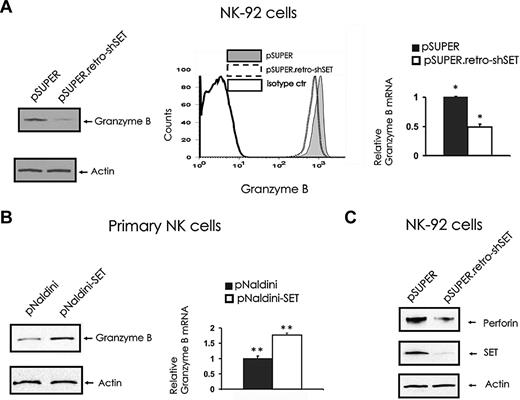 Figure 2. The effect of SET knockdown or overexpression on granzyme B and perforin expression. (A) pSUPER or pSUPER.retro-shSET NK-92 cells were starved from IL-2 for 48 hours and analyzed for granzyme B protein expression by Western blot (left), intracellular flow cytometry (middle), and granzyme B transcript by real-time RT-PCR (right; n = 6). *P < .01. (B) Primary human CD56+ NK cells sorted for GFP after lentivirus infection using pNaldini-GFP and pNaldini-GFP-SET vectors were cultured overnight without IL-2 and analyzed for granzyme B protein by Western blot (left) and granzyme B mRNA expression by real-time RT-PCR (right; n = 7). **P = .03. In data not shown, primary human NK cells were also retrovirally infected using PINCO-SET vector, and an 8-fold increase in granzyme B mRNA relative to identical cells infected with PINCO alone was noted. (C) pSUPER or pSUPER.retro-shSET NK-92 cells were starved from IL-2 for 48 hours and analyzed for perforin protein expression by Western blot. Each experiment is representative of at least 3 performed with similar results.