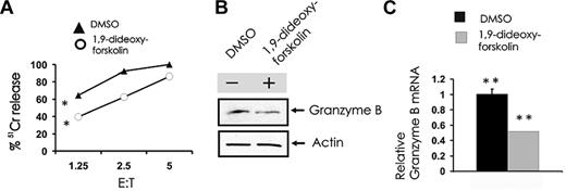 Figure 3. Pharmacologic induction of PP2A activity inhibits spontaneous NK cell–mediated cytotoxicity and granzyme B expression. (A) Primary human NK cells were first incubated (18 hours) with medium containing either DMSO vehicle control or 40μM 1,9-dideoxy-forskolin and then used as effector cells in a 51Cr release assay using K562 tumor cell targets (n = 4). *P < .03. Cell pellets from DMSO or 1,9-dideoxy-forskolin-treated cells were collected for quantification of granzyme B protein by Western blot (B) and granzyme B transcript by real-time RT-PCR (C; n = 3). **P < .03. Each experiment is representative of at least 3 performed with similar results.