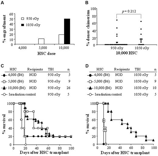 Figure 1. HSCs and TBI dose titration. (A) Percent engraftment of NOD mice given 4000, 5000, or 10 000 B6 HSCs and conditioned with 950 or 1050 cGy of TBI. (B) Percentage of donor chimerism in engrafted NOD recipient mice. (C-D) Survival of NOD recipients conditioned with 950 or 1050 cGy of TBI and transplanted with various B6 HSC doses in an allogeneic model (B6 → NOD). Results are from 3-5 separate transplant experiments.