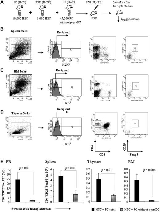 Figure 4. Removal of p-preDCs from FCs abrogates the induction of chimeric Treg generation. (A) Sorted 45 000 FCs, from which the p-preDC subpopulation had been removed, were transplanted with 10 000 B6 HSCs + 1000 NOD HSCs into conditioned NOD recipients. (B-D) Representative analysis of recipient CD8−/CD4+/CD25+/FoxP3+ Tregs in spleen, thymus, and bone marrow at 5 weeks after transplantation. (E) The absolute number of recipient-derived Tregs in peripheral blood, spleen, thymus, and bone marrow from mice that received HSC + FC (n = 4) and HSC + FC without p-preDCs (n = 4) 5 weeks after transplantation. Results are means ± SEM.
