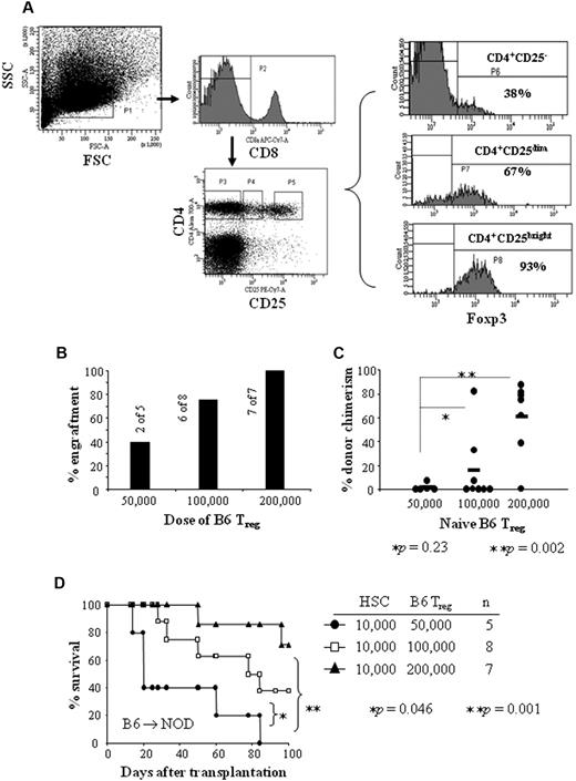 Figure 5. Naive B6 Tregs enhance engraftment of HSCs in a cell-dose–dependent manner. CD8−/CD4+/CD25bright Tregs were sorted from naive B6 spleens. Purified naive B6 Tregs + B6 HSCs were transplanted into NOD recipients conditioned with 950 cGy of TBI. (A) Splenocytes were stained (CD8−/CD4+/CD25bright) and gated for CD8− (top middle panel) and CD4+/CD25−, CD4+/CD25dim or CD4+/CD25bright (bottom middle panel). The level of FoxP3 expression in these cell fractions was analyzed (right panel). (B) Percent engraftment in NOD recipients given 10 000 B6 HSCs + 50 000, 100 000, or 200 000 Tregs from spleens of naive B6 mice. (C) Percentage of donor chimerism in engrafted NOD recipients. (D) Survival of NOD recipients conditioned 950 cGy of TBI and given 10 000 B6 HSCs + 50 000 B6 Tregs (●), 100 000 B6 Tregs (□), or 200 000 B6 Tregs (▲). Results are from 3 separate transplant experiments.