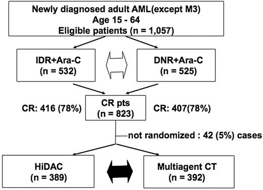 Figure 1. CONSORT diagram.