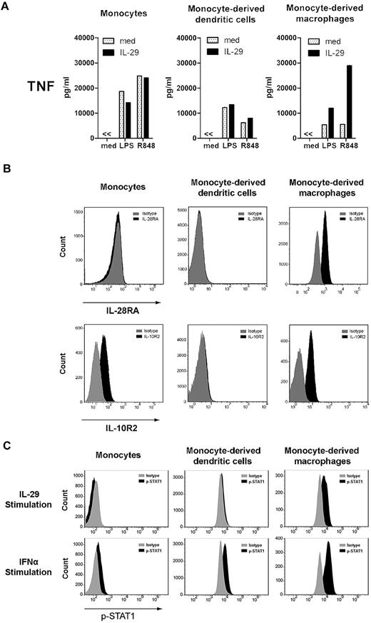 Figure 1. Monocyte-derived macrophages, but not monocytes nor monocyte-derived DCs, respond to IL-29 because of the restricted IL-28RA expression by monocyte-derived macrophages. (A) Monocytes, monocyte-derived DCs, and monocyte-derived macrophages were pretreated with IL-29 for 5 hours, and then further stimulated with LPS or R848 for 24 hours. TNF production was determined by ELISA. The values depicted show representative data from 11 independent experiments. (B) Monocytes, monocyte-derived DCs, and monocyte-derived macrophages were stained with antibodies against IL-28RA and IL-10R2 to evaluate the expression of the IFNλ receptor by flow cytometry. The specificity of the staining was controlled with the appropriate isotype antibodies. The histograms depicted show representative data from 10 independent experiments. (C) Monocytes, monocyte-derived DCs, and monocyte-derived macrophages were stimulated with IL-29 or IFNα for 20 minutes, and then cells were fixed and permeabilized. The phosphorylation of STAT-1 was measured by flow cytometry (FACSCanto II; BD Biosciences).