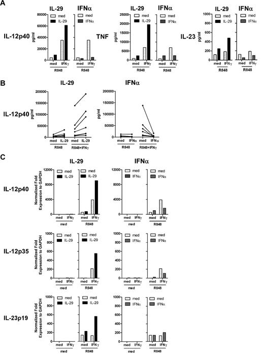 Figure 4. IL-29 enhances, but IFNα suppresses, IFNγ-induced IL-12p40 production by human monocyte-derived macrophages in response to R848 stimulation. (A-B) Monocyte-derived macrophages were pretreated with IL-29 or IFNα for 5 hours, and then further stimulated with IFNγ in combination with R848. IL-12p40, TNF, and IL-23 production were determined by ELISA. The values depicted show representative data from 7 independent experiments. (C) Monocyte-derived macrophages were pretreated with IL-29 or IFNα for 5 hours, and then further stimulated with IFNγ in combination with R848 for another 5 hours. IL-12p40, IL-12p35, and IL-23p19 mRNA expression in macrophages was quantified by RT-PCR. The values depicted show representative data from 2 independent experiments.