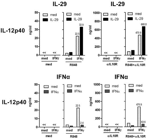 Figure 5. IL-10 is not involved in the differential regulation of IFNγ-induced IL-12p40 production by IL-29 and IFNα in human monocyte-derived macrophages on R848 stimulation. Monocyte-derived macrophages were pretreated with IL-29 or IFNα for 5 hours, and then further stimulated with IFNγ and R848. Anti–human IL-10 receptor antibody (αIL10R, 5 μg/mL) was added to some conditions to block the IL-10 receptor. The level of IL-12p40 in the supernatants was determined by ELISA. The values depicted show representative data from 3 independent experiments.