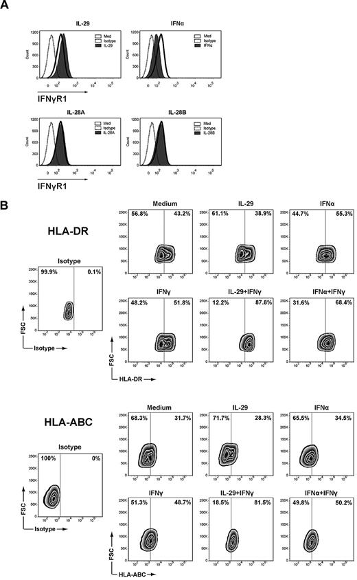 Figure 7. IL-29 and IFNα differentially regulate the surface IFNγR1 expression on monocyte-derived macrophages. (A) Monocyte-derived macrophages were treated with IL-29, IL-28A, IL-28B, or IFNα for 5 hours, and then stained with antibodies against IFNγR1. The specificity of the staining was controlled with the appropriate isotype antibodies. (B) Monocyte-derived macrophages were treated with IL-29 or IFNα for 5 hours, and then further stimulated with IFNγ (10 ng/mL) for another 20 hours. Cells were then harvested and stained with antibodies against HLA-DR and HLA-ABC. The specificity of the staining was controlled with the appropriate isotype antibodies.