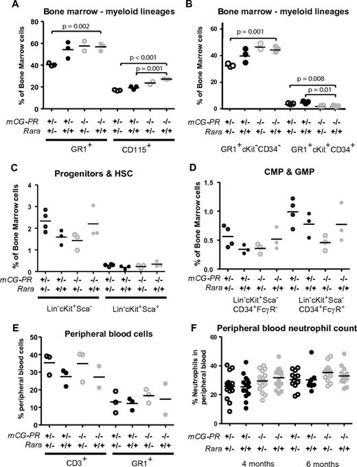 Figure 1. Preleukemic cooperation of Rara haploinsufficiency and PML-RARA. Immunophenotype of bone marrow cells from the indicated littermate-matched mice at 8 weeks. (A-B) Myeloid immunophenotype by Gr1, CD115, cKit, and CD34. (C-D) Progenitor immunophenotype by lineage (CD3, CD8, CD4, CD19, B220, Gr1, and Terr-119), cKit, Sca, CD34, and FcγRIII-R. (E) Peripheral blood immunophenotype by CD3 and Gr1. (F) Neutrophil counts assessed by Coulter counter at 4 and 6 months of age.
