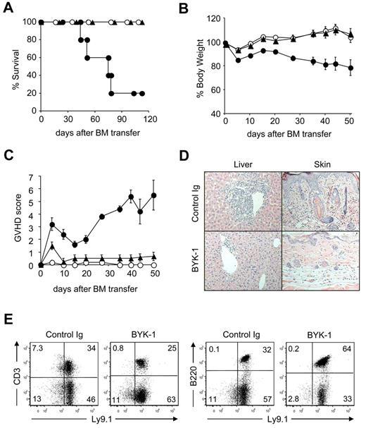 Figure 3. Therapeutic effects of BYK-1 in GVHD induced by MHC-matched, minor histocompatibility antigen-mismatched BMT. On day 0, B6 recipient mice were exposed to lethal irradiation (12 Gy) and transferred intravenously with 5 × 106 T cell-depleted BM cells together with 3 × 106 spleen plus lymph node cells isolated from C3H.SW donor mice. The recipient mice were treated intraperitoneally with 200 μg BYK-1 (▲) or control Ig (●) every 5 days from day 0 to day 25. As non-GVHD control, a group of mice were transferred with T cell–depleted BM cells alone (○). Survival of recipient mice (A), changes in body weight (B), and GVHD clinical scores (C) were monitored after BMT. (D) Pathologic features of recipient liver and skin were examined by hematoxylin and eosin staining (original magnification ×400 in the liver and ×100 in the skin). (E) Spleen cells of the recipient mice that had survived GVHD more than 100 days by BYK-1 treatment were assessed for the expression of Ly9.1 (donor cell marker) and CD3 or B220 by flow cytometry. Data are representative of 3 independently repeated experiments (n = 5 per group).