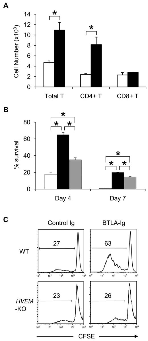Figure 5. BTLA functions as a ligand to deliver prosurvival signal in GVHD. (A) Activated BTLA-KO B6 T cells expressing BTLAΔCY-GFP (black bar) or GFP alone (white bar) were transferred intravenously into sublethally (6 Gy)-irradiated BDF1 mice (7 × 105 cells/mouse). After 24 hours, spleen was harvested from the recipient mice and the numbers of GFP-positive donor T cells (total, CD4+, and CD8+) were assessed by flow cytometry. *P < .05. (B) Activated BTLA-KO B6 T cells expressing BTLAΔCY-GFP (black bar), wild-type BTLA-GFP (gray bar), and GFP alone (white bar) were incubated in vitro. After 4 and 7 days, the number of live GFP-positive cells was counted and percentage survival is shown as average plus or minus SD of triplicate wells. *P < .05. (C) T cells isolated from spleen of WT or HVEM-KO mice were labeled with CFSE and stimulated with 2 μg/mL anti-CD3 mAb in the presence of 10 μg/mL immobilized BTLA-Ig or control Ig. After 3 days, the intensity of CFSE of the culture cells was analyzed by flow cytometry. The numbers in panels indicate percentage of cells undergone more than one division.