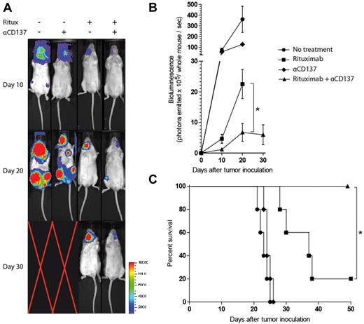Figure 6. Anti-CD137 agonistic mAb enhances antilymphoma activity of rituximab in vivo in a disseminated human lymphoma xenotransplant model. SCID mice were inoculated with 3 × 106 luciferase-labeled Raji lymphoma tumor cells intravenously through the retro-orbital sinus. After tumor inoculation, mice received rat IgG control on day 3 (●), rituximab on day 3 (■), anti-CD137 antibody on day 4 (♦), or rituximab on day 3 and anti-CD137 antibody on day 4 (▴). Treatment was continued weekly for a total of 4 weeks. (A) Luciferase imaging of representative mice 10, 20, and 30 days after treatment are shown. Mice (5 per group) were then monitored for quantified bioluminescence (B; *P = .001) and overall survival (C; *P = .013).