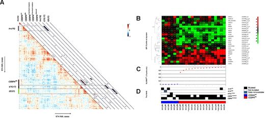 Figure 3. Unsupervised analyses and classification results of candidate CEBPAdm cases with their GEP and their molecular characteristics. (A) Pairwise correlations between the 674 AML cases (supplemental Table 1). The cells in the visualization are colored by Pearson correlations values, depicting higher positive (red) or negative (blue) correlations, as indicated by the scale bar. CEBPAsm, CEBPAdm, CEBPAC-terminal mutation, CEBPAN-terminal mutation, CEBPAsilenced, together with inv(16), t(15;17), and t(8;21) cases are depicted on the diagonal with a red or blue colored bar. CEBPAC-terminal mutation and CEBPAN-terminal mutation indicates the presence of homozygous mutations. (B) Candidate CEBPAdm patients and the unambiguous CEBPAsm patients. The expression levels are defined by the 25-probe set signature. The colors of the hierarchical clustering are relative to the mean. (C) Computed posterior probabilities, indicating the prediction of a CEBPAdm case, given the 25 predictive probe set signature: P(CEBPAdm 25-probe sets). The ordering of patients is based on the classification probabilities. (D) True labels (molecular characteristics). Filled lanes indicate the mutation status in CEBPA (CEBPAdm or CEBPAsm), NPM1 (NPM1mutant), or FLT3 (TKD or ITD), open lanes represents no mutation in the particular patient, and a missing value is depicted in gray. *Germline CEBPAdm cases.