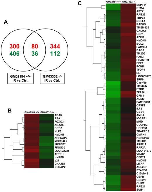 Figure 1. Global comparison of HuR association with mRNAs triggered by IR (1 Gy, 6 hours) in ATM wild-type (GM02184+/+) and ATM null (GM03332−/−) lymphocytes. (A) Venn diagram comparison of mRNAs whose association with HuR was significantly (Z-ratio difference values > or < ± 1.5; P < .05) increased (red) or decreased (green) in IR-treated compared with untreated (Ctrl) cells. (B-C) Examples of genes demonstrating different association with HuR in response to IR in ATM wild-type and ATM null cells. Clusters of genes showing the biggest differences in association with HuR, measured by Z-ratio values. Values increase from green to red.