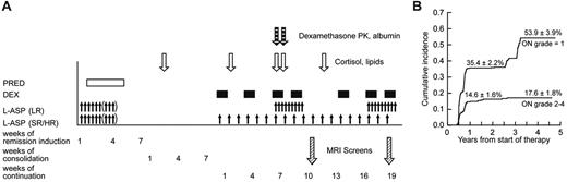 Figure 1. Therapy, testing, and osteonecrosis on Total XV study. (A) Schema of sample collection, asparaginase and glucocorticoid dosing, and MRI screening. Blood samples were collected on consolidation day 15 and week 2, week 7, week 8, and week 12 of continuation phase of therapy. Prednisone was administered at 40 mg/m2 per day during remission induction. Dexamethasone was given at 12 mg/m2 per day (SR/HR arm) and 8 mg/m2 per day (LR) during continuation weeks 1 to 6 and 10 to 16; and at 8 mg/m2 per day for both treatment arms at weeks 7, 9, 17, and 19. Asparaginase was administered at 10 000 U/m2 per dose intramuscularly 3 times weekly for 6 to 9 doses during remission induction; those in SR/HR arms received 25 000 U/m2 per week from weeks 1 to 19; those in the LR arm received 10 000 U/m2 3 times weekly for 9 doses at weeks 7-9 and 17-19. MRI screens were scheduled to be performed at weeks 9-10 and 19-20. (B) Cumulative incidence of asymptomatic and symptomatic osteonecrosis. The top curve represents the first incidence of asymptomatic osteonecrosis in those whose worst grade was grade 1; and lower curve, the first incidence of symptomatic osteonecrosis in those who eventually developed grade 2 to 4 osteonecrosis.