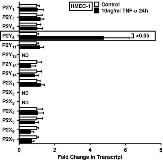 Figure 1. Endothelial P2 receptor expression after inflammatory stimulation. HMEC-1 cells were exposed to 10 ng/mL TNF-α for 24 hours. Receptor expression levels of the 15 known P2 receptors were determined in controls and TNF-α–stimulated cells by real-time RT-PCR. Data were calculated relative to the internal housekeeping gene β-actin and are expressed as mean ± SD fold change compared with the control (without TNF-α) (n = 3-4). Primers and PCR conditions are summarized in the supplemental data.