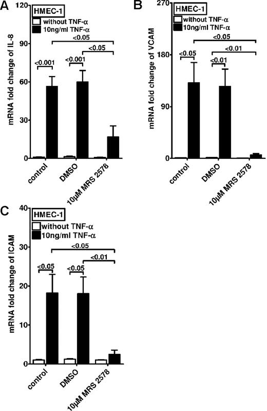 Figure 4. Effect of P2Y6 receptor antagonist MRS 2578 on TNF-α–induced gene expression in vascular endothelia. Vascular endothelia (HMEC-1) were pretreated with vehicle (DMSO) or MRS 2578 (10μM) and after 30 minutes were exposed to TNF-α (10 ng/mL). Transcript levels of IL-8 (A), VCAM (B), or intercellular adhesion molecule (C) were determined by real-time RT-PCR relative to housekeeping gene β-actin 2 hours after TNF-α exposure (n = 4).