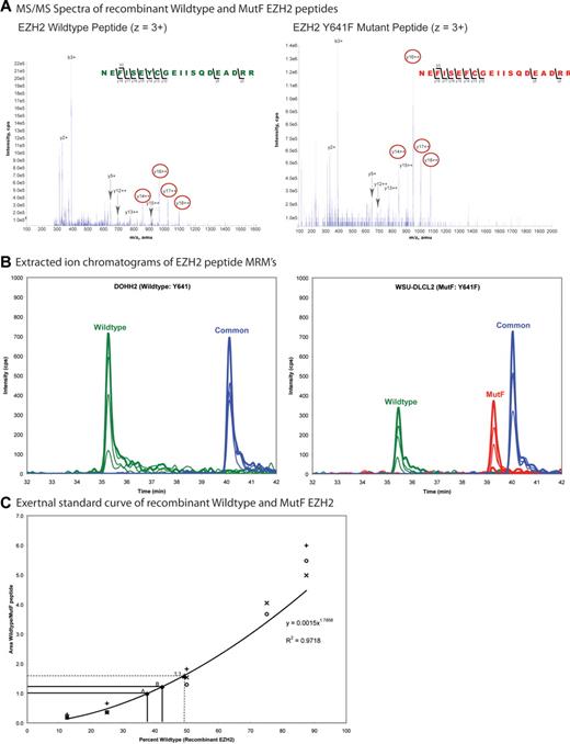 Figure 1. Quantitation of EZH2 wild-type and EZH2 Y641F (MutF) protein expression by mass spectrometry. (A) Tandem MS spectra of recombinant EZH2 wild-type and MutF peptides (residues 635-654) used in the MRM assay. Peptide fragments (y and b ions) identified are labeled, and transitions used in the MRM assay are circled in red (supplemental Figure 2). (B) Extracted ion chromatograms of MRM signals for EZH2 from the gel fractions containing total EZH2 from the DOHH2 and WSU-DLCL2 samples. Traces correspond to the wild-type (green), MutF (red), and common (blue, residues 442-456) peptides. For MRM quantification, peak areas for each coeluting transition were summed for each peptide. (C) External standard curve of mixtures of recombinant EZH2WT and EZH2Y641F proteins, in triplicate. The wild-type and MutF peptides show different inherent ionization ability as illustrated by the difference in heights and areas of their specific peaks, thus necessitating the use of an external calibration curve to determine the corresponding percentage of EZH2WT and EZH2Y641F proteins in the sample. The equation fit to the curve used for the calculations is shown. Points A and B on the graph represent 2 biologic replicates of total endogenous EZH2 immunoprecipitated from the WSU-DLCL2 cell line. An independent 50:50 mixture of EZH2WT/EZH2Y641F recombinant proteins was analyzed (labeled as point “1:1”) to validate the accuracy of the procedure.
