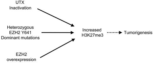 Figure 5. Model depicting pathways to increase H3K27me3 levels that result in cancer. In this schematic diagram: solid arrow represents a direct effect; dotted arrow, multiple steps that lead to an effect.
