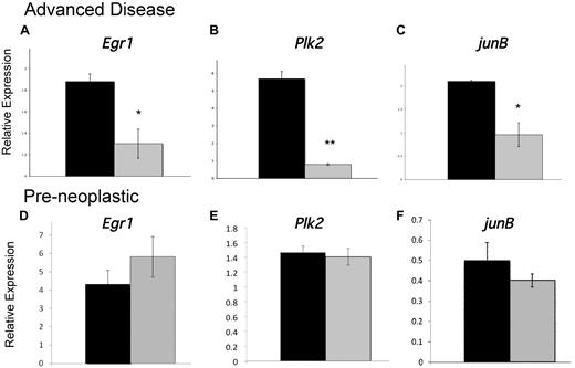 Figure 7. Development of MDS/MPN is associated with disrupted expression of essential myeloid transcription factors. (A-C) Real-time PCR analysis of indicated transcripts using RNA isolated from CD11b+/Gr-1low/− cells from MDS/MPN NR4A1+/−NR4A3−/− mice (n = 3, at 4-10 months, blast levels between 12% and 18%; gray columns) and control NR4A1+/−NR4A3+/+ mice (n = 7, at age 4-10 months; black columns). Animals with greater than 10% blasts were considered advanced diseased based on the criteria of Sokal et al and the International Bone Marrow Transplant Registry.42,43 (D-F) Real-time PCR analysis of indicated transcripts using RNA isolated from CD11b+/Gr-1low/− cells from 6-week-old preneoplastic NR4A1−/−NR4A3+/− mice (gray columns, n = 3) and 6-week-old NR4A1+/+NR4A3+/− control mice (black columns, n = 3). All results were normalized to B2m expression. *P < .05. **P < .02. Error bars represent SEM.