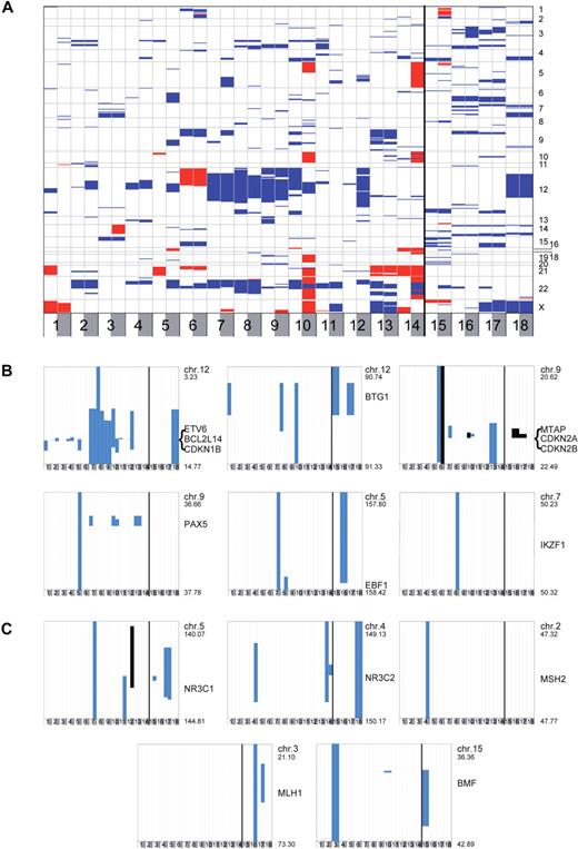 Figure 1. Heatmaps of CNAs in 18 relapsed E/R-positive leukemias. (A) Overview of somatic CNA in diagnosis and relapse samples. Copy number changes are mapped according to their chromosomal position and indicated by color (blue represents losses; and red, gains) for each chromosome from 1 to X (row) and each sample (column). Each row represents a segment of the genome with a CNA across samples. Regions in the genome without CNA events are not shown in the heatmap. Each column is labeled with the patient IDs at the bottom of the graph, and sample types are indicated by the color bars: white represents diagnosis; and gray, relapse. Samples with and without paired remission samples are separated by a bold vertical line. (B-C) Heatmaps for recurrent genomic deletions were constructed by zooming in on genes of interest and plotting along chromosomal coordinates (y-axis) color-coded presence (blue for monoallelic/black for biallelic) and absence (white) of deletions. Deletions of tumor suppressor genes and cell differentiation markers at 12p13.2 (ETV6, BCL2L14, CDKN1B), 12q21.33 (BTG1), 9p21.3 (CDKN2A/B), 9p13.2 (PAX5), 5q33.3 (EBF1), and 7p12.2 (IKZF1) are shown in panel B, and deletions of genes implicated in GC signaling and MMR at 5q31.3 (NR3C1), 4q31.22 (NR3C2), 2p21 (MSH2), 3p21.3 (MLH1), and 15q15.1 (BMF) are shown in panel C. Genome position (Mb) according to the University of California Santa Cruz Genome Browser (NCBI Build 36.1) is given for each graph.