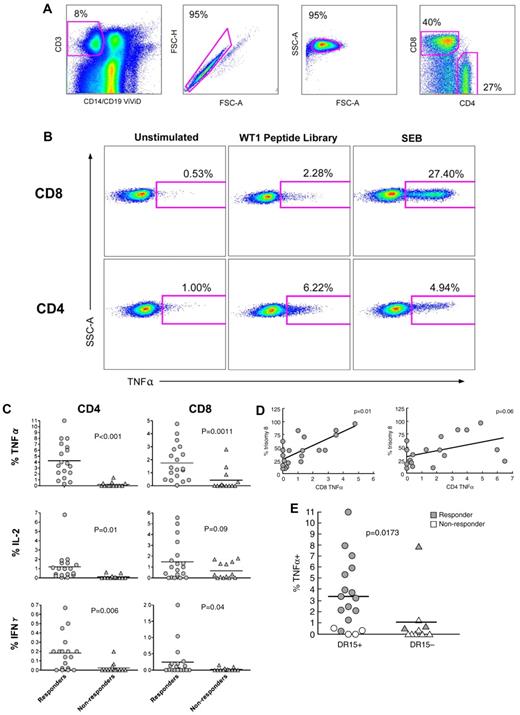 Figure 2. Functional WT1-specific T cells are present in IST-responsive MDS patients. (A) PBMCs from 38 patients with MDS were stimulated with a comprehensive WT1 peptide library as described in “Flow cytometry for intracellular cytokine production.” Cells cultured in R10 alone were used as negative controls. Live T cells were discriminated from dead (ViViD+) cells, B cells, and monocytes in a dump versus CD3 bivariate plot. Next, single cells were selected in a FSC-A versus FSC-H plot, and inact lymphocytes in a FSC-A versus side scatter-area (SSC-A) plot. Fluorochrome aggregates were then excluded (not shown) before selection of the CD4+ and CD8+ T cells. (B) Cytokine production after stimulation for 6 hours with the WT1 peptide library or positive control (staphylococcal enterotoxin B); unstimulated cells were used as a negative control. The percentages of cytokine-producing CD4+ (bottom) and CD8+ (top) T cells are shown for IST-responsive patients 45 and 50, respectively. (C) A composite figure for cytokine expression in response to stimulation with the comprehensive WT1 peptide library in IST responders and nonresponders. Horizontal bars represent mean values. (D) WT1-specific TNF-α production by CD4+ and CD8+ T cells was correlated with the percentage of trisomy 8 cells in the bone marrow. (E) WT1-specific TNF-α production by CD4+ T cells was correlated with the presence of HLA DR15.