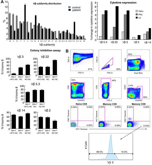 Figure 4. CD8+ T cells within expanded Vβ subfamilies respond functionally to WT1 peptides and suppress trisomy 8 colony growth. Functional and tetrameric analyses of CD8+ T cells within expanded Vβ subfamilies were performed using samples from patient 1. (A) Expanded CD8+ T-cell subfamilies were identified by flow cytometry using directly conjugated Vβ-specific mAbs (top left panel). PBMCs from patient 1 were stimulated with a comprehensive WT1 peptide library and stained as described in “Flow cytometry for intracellular cytokine production.” CD8+ T cells within the expanded Vβ subfamilies showed substantial intracellular cytokine production compared with unstimulated controls (top right panel). Expanded and control, nonexpanded Vβ subfamilies were subsequently sorted by flow cytometry and cultured for up to 3 weeks. These T-cell lines were then tested for clonogenic hematopoietic progenitor cell lysis (bottom left panel): Autologous BMMNCs were incubated for 4 hours with the (25 Gy-irradiated) expanded T cells (BM + T INC) before plating in semisolid medium containing cytokines to support hematopoietic progenitor cell growth.26 WT1 specificity of the T-cell lines was assessed in this assay by pulsing the BMMNCs with the WT1 peptide library before this 4-hour preincubation (BM + T + WT1 INC). As a negative control, we incubated T cells and BMMNCs separately before mixing and plating (BM + T NO INC). Suppression of trisomy 8 cell growth was observed, relative to both controls in the absence of CD8+ T cells and in the presence of 3 times the number of CD8+ T cells from Vβ subfamilies that were not expanded (bottom panel). (B) Cognate WT1126-134/HLA-A*0201 tetramer-binding memory CD8+ T cells were present within the expanded Vβ3+ subfamily.