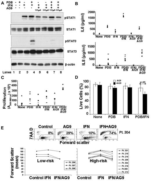 Figure 7. Effects of a TYK2 inhibitor on IFN-signaling and responses. (A) CLL cells were cultured for 1 hour alone, or with different concentrations of AG9, before treatment with PDB (100 ng/mL), IFN-α2b (1000 U/mL), or PDB and IFN-α. After 4 hours, pSTAT1 and total STAT1 and STAT3 levels were determined by immunoblotting. STAT3 phosphorylation was abrogated by AG9, whereas STAT1 activation remained intact. Similar results were obtained with 5 different patient samples. (B) Concentrations of IL-6 (top) and IL-8 (bottom) were measured in culture supernatants after 48 hours. IL-6 production was increased by PDB and inhibited by AG9 without significantly affecting IL-8. (C) CLL cells cultured for 3 to 4 days with or without PDB and/or IFN in the presence or absence of AG9 were obtained from 5 patients and used to stimulate T cells from healthy donors to proliferate as measured 5 to 6 days later by a colorimetric assay. Averages (+ SE) from triplicate mixed lymphocyte reactions cultures (after subtracting the averages from control wells containing T cells and stimulators, alone) are shown. The different symbols represent the results obtained using individual patient stimulator cells. Prevention of IFN-mediated STAT3 phosphorylation by AG9 made CLL cells, treated concomitantly with PDB and IFN, better able to stimulate T cell proliferation. (D) The percentage of viable cells that excluded 7-AAD was determined by flow cytometry after 48 hours. The average (+ SE) of the results from 5 different patient samples are shown. The arrow indicates a statistically significant value of P < .05. (E) CLL cells from Pt. 304 were cultured with or without IFN and/or AG9 (top) and cell viability after 3 days was indicated by measuring exclusion of 7-AAD by flow cytometry. The number in each dot blot is the percentage of 7-AAD+ dead cells. Mean values of the forward scatter parameter for 10 other patient samples are summarized (bottom graphs). “High-risk” cells are defined on the basis of 11q− or 17p− cytogenetic lesions, over 20% CD38+ cells, or LDTs < 12 months. AG9 counters the increased cell size caused by IFN in aggressive CLL cells.