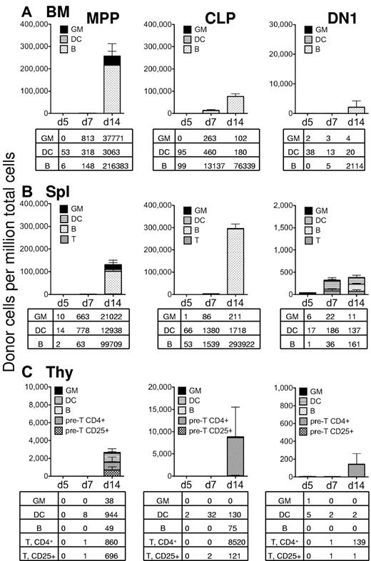 Figure 3. In sublethally irradiated recipients, only MPPs display robust myeloid potential. Sublethally irradiated recipient C57BL/6 mice were transplanted with 5000 MPP (left column), 5000 CLP (middle column), or 5000 DN1 cells (right column) from GFP-transgenic mice. After 5, 7, or 14 days, the bone marrow (A), spleen (B), and thymus (C) of each mouse was analyzed for GFP+ donor cells by flow cytometry. Each column represents the level of GFP+ chimerism in that tissue, and the different patterns indicate the chimerism of the different lineages. The lineages were determined as follows: Myeloid cells (GM) were defined as Mac-1+Gr-1+CD11c−; dendritic cells (DC) were defined as CD11c+; B cells were defined as CD19+. T lineage cells were defined as either CD4+ (pre-T, CD4+) or CD25+ (pre-T, CD25+) in the thymus. At day 14, most thymocytes were immature, and antibodies to CD4 and CD25 labeled nearly all T lineage cells. The tables below each graph show the frequency (cells/million live cells) of each donor cell lineage for each tissue analyzed and represent the average from 3 transplanted mice. This experiment was performed twice, with similar results.