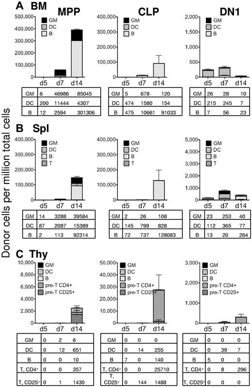 Figure 4. In lethally irradiated recipients, only MPP display robust myeloid potential. Lethally irradiated recipient mice were transplanted with 5000 MPP (left column), 5000 CLP (middle column), or 5000 DN1 (right column) from GFP-transgenic mice. Recipient mice were also transplanted with 300 000 “helper” bone marrow cells, so that they would recover from the irradiation. Other than the irradiation dosage and the use of “helper” bone marrow, the description of this figure is identical to the description of Figure 3. (A) Bone marrow cells. (B) Splenocytes. (C) Thymocytes.