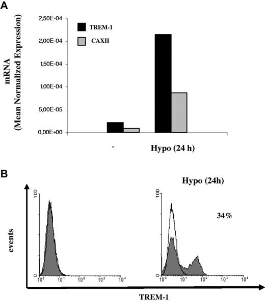 Figure 5. Effects of acute hypoxia on TREM-1 expression. Four-day mDCs were exposed to hypoxia for 24 hours, and (A) TREM-1 and CAXII mRNA expression was assessed by quantitative RT-PCR. Data from one representative experiment of 3 performed are expressed as in the legend to Figure 3A. (B) TREM-1 surface expression was evaluated by flow cytometry. Solid histograms represent the fluorescent profile of TREM-1-expressing cells; and open histograms, the fluorescent profile of cells stained with the isotype-matched control Ab. The percentage of TREM-1+ cells and the mean fluorescent intensity are indicated. Results from one of 3 independently tested donors are shown.