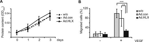 Figure 3. HLX does not affect the proliferation of endothelial cells, whereas migration is strongly reduced. (A) Proliferation assay: HUVECs were infected with HLX-encoding adenoviruses (Ad.HLX ▴) or control viruses (Ad.con ■) using an MOI of 8 or remained noninfected (without ♦). After 24 hours, 5 × 103 cells were seeded per well into 96-well plates; 0, 1, 2, and 3 days after seeding the protein content was measured at OD492 using the SRB assay. The values display the increase in protein content over the indicated time period ± SD calculated from 5 wells each. One experiment of 3 with similar results is shown. (B) Migration assay: HUVECs were transduced with Ad.HLX or Ad.con with a MOI of 8 each or remained noninfected. Three days after infection, cells were seeded into a transwell system and the migration of the cells from the upper chamber toward the lower chamber containing medium with 50 ng of VEGF/mL or without VEGF was scored 4 hours after seeding of the cells. Cells migrated into the lower chamber were visualized by staining with DAPI. Five random microscopic fields per transwell were photographed at a magnification of 10-fold and the stained cells were counted. Values display the percentage of migrated cells in the individual samples in comparison to the VEGF-induced migration in samples containing noninfected cells arbitrarily set to 100%. Mean values were calculated from 2 independent experiments with triplicates each ± SD. Inhibition of migration by Ad.HLX was significant as calculated by t test (**P < .005, ***P < .001).