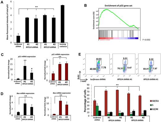 Figure 1. Decreased expression of RPS14 or RPS19 activates the p53 pathway. (A) Increased levels of total p53 protein in primary human bone marrow cells as analyzed by intracellular flow cytometry. (B) RPS14 shRNAs significantly increase the expression of downstream target genes of p53, as assessed by gene set enrichment analysis using a set of published p53 target genes.16 Genes are ranked according to their differential expression between cells expressing RPS14 shRNA and control shRNAs targeting the luciferase gene. Genes in the p53 gene set are marked with vertical bars, and the enrichment score is shown in green. (C-D) The mRNA expression of p21 and Bax in primary human bone marrow cells, relative to β-actin mRNA, was measured by quantitative real time PCR. (E) Cell cycle status was analyzed by flow cytometry using 7-AAD and BrdU. Numbers in the flow plot represent the percentage of cells in different phases of cell cycle. Results shown for each experiment are representative of 3 independent experiments performed in triplicate (mean ± SEM). *P < .05. **P < .01.