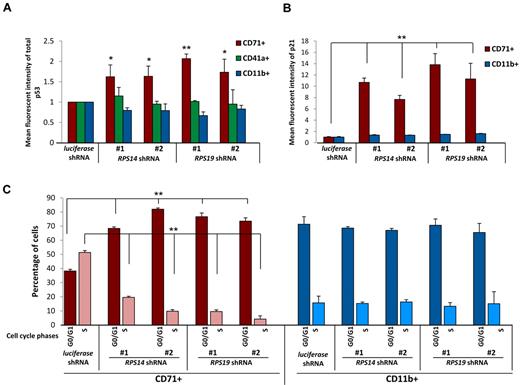 Figure 2. Lineage specificity of p53 accumulation, p21 levels, and cell cycle arrest. (A) Levels of p53 were determined by intracellular flow cytometry in cells expressing control (luciferase), RPS14, or RPS19 shRNAs. Lineage-specific activation of p53 protein was determined by staining for erythroid (CD71), megakaryocytic (CD41a), and myelomonocytic (CD11b) cell surface markers. (B) Levels of p21 were determined by intracellular flow cytometry in cells expressing control (luciferase), RPS14, or RPS19 shRNAs. Lineage-specific activation of p21 protein was determined by staining for erythroid (CD71) and myelomonocytic (CD11b) cell surface markers. (C) Primary human bone marrow cells were infected with control or ribosomal gene shRNAs and allowed to grow and differentiate over 5 days in the presence of cytokines supporting erythroid and myeloid differentiation. Cells were then labeled with BrdU, 7-AAD, and lineage markers (CD11b and CD71). Results in each bar graph are the composite data from 3 independent experiments performed in triplicate (mean ± SEM). *P < .05. **P < .01.