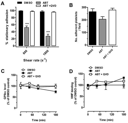 Figure 1. Cleavage of cytoskeletal proteins induces unstable platelet adhesion under shear conditions. (A) Washed human platelets prepared as described in ‘Methods’ were treated with either DMSO, 1μM ABT-737 (ABT), or 50μM Q-VD-OPh 10 minutes before ABT-737 treatment (ABT + QVD), then allowed to adhere to VWF for 10 minutes in the presence of 1 mg/mL ristocetin. Shear rates of 600 or 1800 s−1 were applied for up to 5 minutes, and the number of stationary platelets was analyzed from 5 independent experiments. ***P < .001). (B) Washed human platelets were allowed to adhere to VWF under static conditions in the presence of 1 mg/mL ristocetin for 60 minutes. The number of adherent platelets was analyzed as the mean (± SEM) from 3 experiments. (C) Surface expression of GPIbα was determined by flow cytometry using CD42b-PE anti–human GPIbα mAb as mean (± SEM) from 3 experiments. (D) VWF binding to DMSO, ABT-737, or Q-VD-OPh 10 minutes before ABT-737–treated human platelets was measured in the presence of 5 μg/mL botrocetin as mean (± SEM) from 3 experiments.