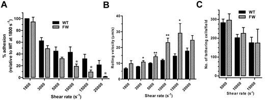 Figure 6. Adhesion of transgenic mouse platelets to VWF under high shear conditions. (A) Transgenic mouse blood was perfused over human VWF at a rate of 1800 s−1, followed by incremental increases in shear rate to a maximum of 20 000 s−1. Quantitation of the number of adherent platelets at each shear rate demonstrated a significant reduction in the number of hGPIbαFW platelets able to remain adherent at shear rates of 10 000 s−1 and above compared with hGPIbαWT as mean (± SEM) for n = 6 experiments. *P < .05. (B) Rolling velocity was analyzed from the same experiments as in panel A. At shear rates of 3000 s−1 and above, hGPIbαFW platelets rolled significantly faster that hGPIbαWT platelets for n = 6 experiments. *P < .05, **P < .01. Note that the rolling velocity at 20 000 s−1 was not significantly different because there were too few hGPIbαFW platelets remaining adherent to analyze. (C) Transgenic mouse blood was perfused over human VWF at 5000, 10 000, or 20 000 s−1 and the number of platelets adhering from the bulk flow was quantitated over at least 5 fields as the mean (± SEM) from 3 independent experiments. There was no significant difference between the number of adherent hGPIbαWT and hGPIbαFW platelets at any of the shear rates tested.