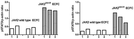 Figure 4. Expression of pSTAT-3 and pSTAT-5 in E-CFCs isolated from 2 healthy persons (1 and 2), from 2 patients with JAK2 wild-type E-CFCs (3 and 4), and in JAK2V627F-mutated E-CFCs obtained from 3 patients (5-7). Values are expressed in arbitrary units as the ratio of the densitometric analysis between pSTAT-3 and pSTAT-5 and the respective β-actin bands.