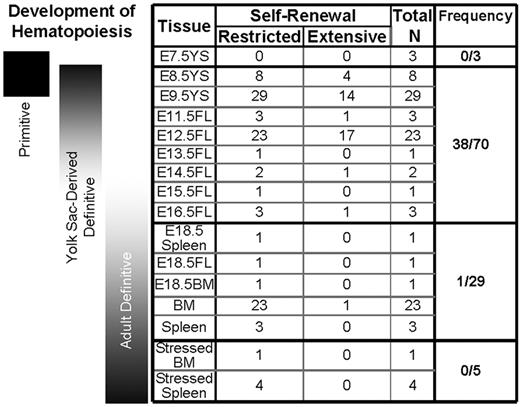 Figure 6. Generation of erythroid cell cultures with restricted and extensive self-renewal from embryonic, fetal, and adult hematopoietic tissues derived from ICR mice. No restricted or extensively proliferating erythroid cultures could be established from E7.5 yolk sac (YS) cells. Cultures of erythroid cells with restricted self-renewal potential were generated from later YS, fetal liver (FL), spleen, and bone marrow (BM). The highest frequency of erythroid cultures exhibiting extensive self-renewal potential was derived from E8.5-E14.5 embryos, which is associated with the emergence of a transient wave of definitive erythroid potential in the yolk sac and its transition to the early fetal liver. Cultures derived from “stressed” BM and spleen from mice made anemic with phenylhydrazine were only capable of restricted self-renewal.