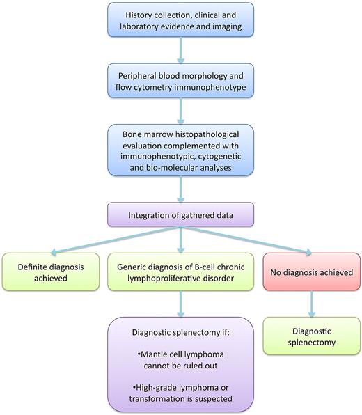Figure 1. Schematic representation of the main steps of the SL diagnostic workup.