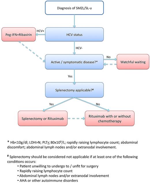 Figure 4. The key steps of our treatment approach for the management of previously untreated SMZL/SL-u patients.