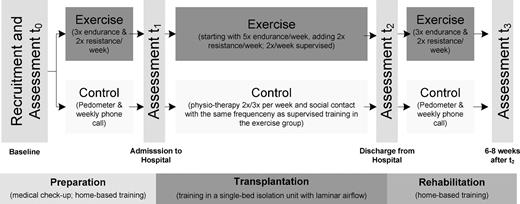 Figure 1. Study design.