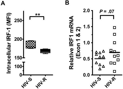 Figure 1. The expression and epigenetic regulation of IRF1 gene in ex vivo unstimulated PBMCs from HIV-S and HIV-R individuals. (A) Intracellular IRF1 protein expression in ex vivo PBMCs from HIV-S and HIV-R (n = 6, each) participants was measured using flow cytometric analyses. Intracellular staining was performed using IRF1 specific antibody and fluorescein isothiocyanate-labeled goat antirabbit antibody. Background signal from the secondary antibody alone was within the first log (100-101). (B) Intracellular IRF1 mRNA expression in ex vivo PBMCs from HIV-S (▵, n = 10) and HIV-R (□, n = 11) participants was assessed using quantitative RT-PCR. Bars represent mean values. **P < .005. Not significant (P > .05).