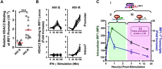 Figure 7. Basal binding and recruitment of HDAC2 to IRF1 gene locus. (A) Basal HDAC2 binding at IRF1 promoter was assessed in the ex vivo PBMCs from HIV-S (▵, n = 10) and HIV-R (□, n = 11) individuals using ChIP-quantitative PCR with antibodies specific for HDAC2. Bars represent mean values. ***P < .0005. Not significant (P > .05). (B) HDAC2 recruitment to IRF1 promoter and intron7 after exogenous IFN-γ stimulation was examined at the indicated time points after IFN-γ stimulation. Quantitative PCR signals were normalized to input DNA. There was no difference in the levels of HDAC2 between the unstimulated samples cultured in media alone for 0, 60, or 180 minutes. Unstimulated sample from time = 0 is used as reference for calculating relative fold increases. (C) Study model: IRF1-responsive potential in HIV-R commercial sex workers and its implication in resistance to HIV acquisition. On stimulation by IFN-γ, IRF1 expression is robustly increased within 20 minutes at the transcriptional level. (i) Increased IRF1 binding to its target genes (eg, IL-12p35, IL-4) and the regulation of target gene express are also observed shortly after stimulation. (ii) Within an hour after stimulation, increases in IRF1 expression are controlled by the recruitment of HDAC2 to IRF1 loci and histone deacetylation spreading across the IRF1 gene. The transitory increase in IRF1 expression is sufficient in inducing comparable immune responses. (iii) At the same time, the rapid silencing of IRF1 expression may have a role in the HIV resistance by curtailing the transactivation of HIV-1 LTR during the early stages of viral infection and hence, allowing time for innate and acquired immunity of develop.