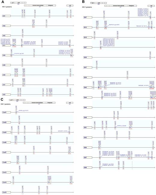 Figure 2. Maps of unique HLA-associated adaptations in HIV-1 Gag, Pol, and Nef. Maps of unique HLA-associated adaptations (q-value ≤ 0.2) in HIV-1 Gag, Pol, and Nef, grouped for HLA-A alleles (A), -B alleles (B), and -C alleles (C). The nonadapted (susceptible/revertant) amino acids are displayed above the line in blue text and adapted amino acid are below the line in red text. Locations of published CD8 T-cell epitopes are shown as boxed labels at association sites.