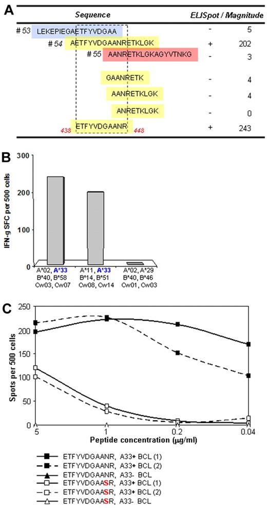 Figure 5. T-cell assays to determine whether a strongly A33-associated mutation in RT lies in a novel epitope. (A) T-cell lines from A33+ donors were established by stimulation with an 18-mer peptide reflecting the consensus sequence (pol 54) and tested for recognition against A33-matched targets pulsed with the overlapping peptides (pol 53 and 55, top) and with truncated peptides (bottom) to define the optimal epitope. (B) Confirmation of HLA-A33 restriction was performed with target cell lines matched only at HLA-33 or lacking HLA-A33. (C) Confirmation that the N447S mutation represents an escape from T-cell recognition was performed with pol 54 peptide-specific T-cell clones tested for recognition of the wild-type and mutant peptides in an ELISPOT assay with 2 different A33-expressing target cells.