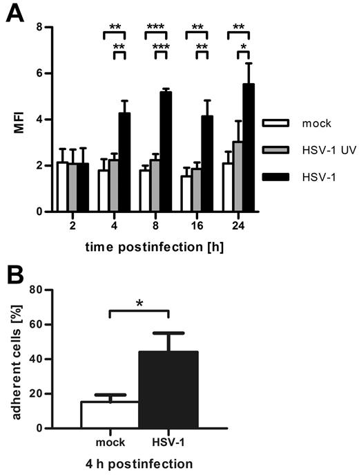 Figure 4. HSV-1 infection of DCs leads to CD18 activation and increased adhesion to ICAM-1. (A) At the indicated time points after infection, flow cytometric analyses of mock-infected DCs (white columns), HSV-1 UV-infected (gray columns), and HSV-1–infected DCs (black columns) were performed with the CD11/CD18 activation-specific antibody mAB24. Concomitantly with CYTIP down-regulation, β2-integrins undergo affinity maturation in HSV-1–infected DCs. Shown is the mean fluorescence intensity as calculated by substraction of isotype fluorescence from mAB24 fluorescence. (B) Four hours after infection, DCs were allowed to adhere to ICAM-1–Fc-coated 96-wells for 45 minutes. After gentle washing, adherence was quantified by measuring the β-glucuronidase activity of the cells. HSV-1–infected cells adhere significantly stronger compared with mock-infected control cells. Error bars represent ± SD. ***P < .001. **P < .01. *P < .05. Experiments were repeated at least 3 times independently. ICAM-1–adhesion experiments were performed in quadruplicate.