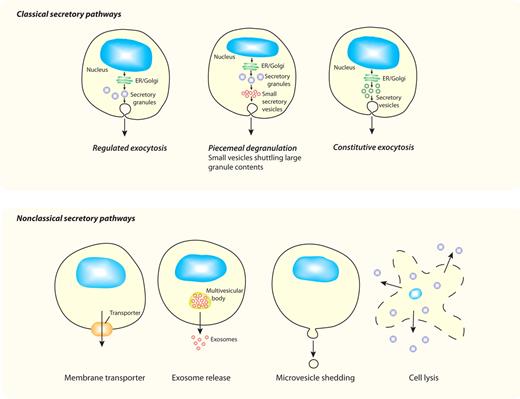 Figure 1. Different secretory pathways offer variable modes of release for cytokines. All cells have ≥ 1 variations on the classic secretory pathways depicted in the top panel, whereby proteins (eg, cytokines) synthesized in the ER and Golgi complex are transported in membrane-bound vesicles, granules, or both to the cell surface for release. Although all cells have constitutive pathways, specialized cell types additionally have regulated (granule-mediated) pathways, and some cells have a variation of this process (piecemeal degranulation) in which membrane-bound vesicles are used to selectively transport cytokines from secretory granules to the cell surface. All of these pathways have multiple transport steps, each requiring sets of trafficking machinery molecules to execute carrier budding, movement, and membrane fusion. The bottom panel shows nonclassical secretory pathways, which involve movement of proteins (eg, cytokines) directly from their point of synthesis in the cytoplasm to the external milieu. Various mechanisms proposed for crossing the plasma membrane, as the single transport step required, include the use of membrane transporters, exosome release, microvesicle shedding, or cell lysis for cytokine release.
