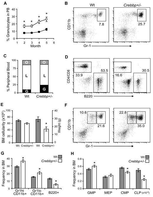 Figure 1. Increased myeloid and decreased lymphoid output in PB (A-D) and BM (E-H) of Crebbp+/− recipients. (A) Average frequency ± SEM of donor-derived, wild-type (Wt) granulocytes based on scatter profiles of PB cells in Wt (●) and Crebbp+/− recipients (○) (n ≥ 12; *P < .001). (B-H) Data obtained at 5 months after transplantation. (B) Representative FACS profiles of donor-derived (Gr-1hiCD11b+) granulocytes. (C) Average percentage of granulocytes (G), lymphocytes (L), and other cells (O). (D) Representative FACS profiles of donor-derived (B220+) B cells and (CD4/8+) T cells. (E) Data represent the average number ± SEM of nucleated BM cells obtained from 2 femurs (first 2 bars) and weight (last 2 bars) of Wt and Crebbp+/− recipients (n ≥ 11; *P < 10−8). (F) Representative FACS profiles of donor-derived Gr-1loCD11b+ (left gate) and Gr-1hiCD11b+ myeloid cells (right gate). (G) Average frequency ± SEM of donor-derived Gr-1loCD11b+ and Gr-1hi CD11b+ myeloid cells and B220+ cells (n ≥ 7; *P < .002). (H) Average frequency ± SEM of donor-derived granulocyte-macrophage progenitors (GMPs), megakaryocyte-erythroid progenitors (MEPs), common myeloid progenitors (CMPs) and common lymphoid progenitors (CLPs; n ≥ 12; *P < .05).