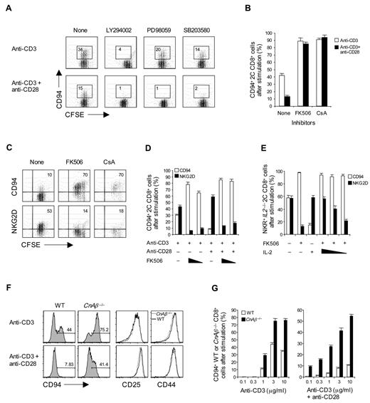 Figure 5. Negative signaling for CD94/NKG2A expression by calcineurin pathway. (A-C) A total of 0.5 to 1 × 105 unlabeled (B) or CFSE-labeled (A,C) purified naive 2C CD8+ T cells were stimulated either with (A-B) plate-bound anti-CD3 monoclonal antibody alone (2.5 μg/mL) or (A-C) anti-CD3 (2.5 μg/mL) plus anti-CD28 monoclonal antibodies (10 μg/mL) in the presence or absence of (A) the indicated phosphatidylinositol 3-kinase and mitogen-activated protein kinase inhibitors, 5μM LY294002, 10μM PD98059, or 10μM SB203580, or (B,C) calcineurin inhibitors, FK506 (B, 0.2nM; B,C, 5nM) or CsA (B, 50 ng/mL; B,C, 200 ng/mL). (D) A total of 1 × 105 purified naive 2C CD8+ T cells were stimulated with plate-bound anti-CD3 monoclonal antibody alone (2.5 μg/mL) with or without anti-CD28 monoclonal antibody (10 μg/mL) in the presence or absence of FK506 (0.1 and 0.5nM for anti-CD3; 1 and 5nM for anti-CD3 plus anti-CD28). (E) A total of 1 × 105 purified naive IL2−/− 2C CD8+ T cells were stimulated with plate-bound anti-CD3 monoclonal antibody (2.5 μg/mL) and anti-CD28 monoclonal antibody (10 μg/mL) in the presence or absence of IL-2 (100 ng/mL), FK506 (5nM), or both (5nM for FK506; 1, 10, and 100 ng/mL for IL-2). (F-G) A total of 0.5 × 105 naive WT and CnAβ−/− CD8+ T cells purified from WT (from CnAβ+/+ littermate) and CnAβ−/− mice were stimulated with plate-bound anti-CD3 monoclonal antibody (F, 2.5 μg/mL; G, 0.1-10 μg/mL) with or without 10 μg/mL anti-CD28 monoclonal antibody. On day 3 after culture, cells were analyzed for expression of either the indicated NK receptors (A-G, CD94; C-E, NKG2D) or the activation markers (F; CD25 and CD44) by flow cytometry. The percentages of cells in the respective regions (A,C,F) are indicated. (A-G) Data are representative of more than 3 independent experiments (B,D-E,G; mean ± SD).