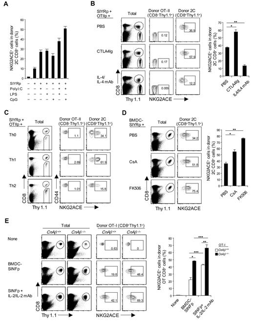 Figure 7. Regulation of CD94/NKG2A expression in vivo. (A) A total of 5 × 105 purified naive 2C CD8+ T cells (Thy1.1) were transferred intravenously into B6 mice; and 1 day later, the mice were injected intraperitoneally with 5μM SIYR peptide with or without poly I:C (10 μg), LPS (5 μg), or CpG ODN (1 μg) or a combination of both poly I:C plus either LPS or CpG ODN. (B) A mixture of purified naive 2C CD8+ and OT-II CD4+ T cells (2 × 105 for 2C and 1 × 106 for OT-II; all Thy1.1) was transferred intravenously into B6 mice; and 1 day later, the mice were injected intraperitoneally with SIYR (5μM) plus ovalbumin323–339 peptide (OT-IIp; 10μM) with or without CTLA4Ig (50 μg) or IL-4 (1 μg)/anti-IL-4 monoclonal antibody (20 μg) complexes (injected daily for 2 consecutive days). *P < .01. **P < .005. (C) A total of 5 × 105 purified naive 2C CD8+ T cells (Thy1.1) were cotransferred intravenously with in vitro-stimulated differentiated OT-II CD4+ T helper subsets, Th0, Th1, and Th2 (1 × 106; Thy1.1) into B6 mice; on the same day, the mice were injected intraperitoneally with 5μM SIYR and 10μM ovalbumin323–339 peptide. (D) A total of 5 × 105 purified naive 2C CD8+ T cells (Thy1.1) were transferred intravenously into B6 mice; and 1 day later, the mice were injected intravenously with 2 × 106 LPS-matured bone marrow–derived DC pulsed with 10μM SIYR peptide (BMDC-SIYRp) with or without 2 μg CsA or 0.2μM FK506 (injected daily for 3 consecutive days). *P < .05. **P < .005. (E) A total of 5 × 105 purified naive WT or CnAβ−/− OT-I CD8+ T cells (Thy1.1) were transferred intravenously into B6 mice; and 1 day later, the mice were injected intravenously with 2 × 106 BMDCs pulsed with 10μM SINF peptide (BMDC-SINFp) either with or without intraperitoneal injection of IL-2 (0.5 μg)/anti-IL-2 monoclonal antibody (10 μg) complexes. *P < .005. **P < .05. ***P < .05. (A-E) On day 4 after antigenic stimulation in vivo, pooled spleen and lymph node from the recipient mice were analyzed for expression of NKG2ACE on donor 2C (A-D), OT-II (B-C), and OT-I (E) cells by flow cytometry. The percentages of cells in the respective regions (B-E) are indicated. (A-E) Data are representative of 2 or 3 independent experiments (A-B,D-E; mean ± SD from 4 or 5 mice per group).