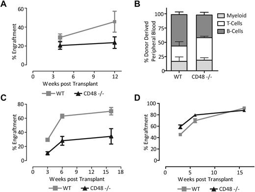 Figure 2. CD48−/− HSCs show a defect in both short-term and long-term activity. (A) Donor chimerism in the peripheral blood measured with CD45.2 expression, from transplants of 100 000 donor WBM cells competed against 100 000 WT WBM cells. CD48−/− HSCs show a substantial transplantation defect (nonlinear regression analysis, P = .02061). (B) Lineage contribution of CD48−/− HSCs at 12 weeks. CD48−/− recipients show a slight but insignificant skewing toward the T-cell lineage at the cost of B cells. (C) Donor chimerism in the peripheral blood measured with CD45.2 expression, from competitive transplants of 300 000 WBM cells from either a CD48−/− mouse or WT mouse. CD48−/− HSCs still exhibit a substantial transplantation defect (nonlinear regression analysis, P < .01) at the higher BM dose. (D) Noncompetitive BM transplant with 300 000 CD48−/− or WT whole BM cells. Shown is the proportion of peripheral blood (CD45.1+) cells generated from the donor cells at the indicated time points (all error bars are SEM).
